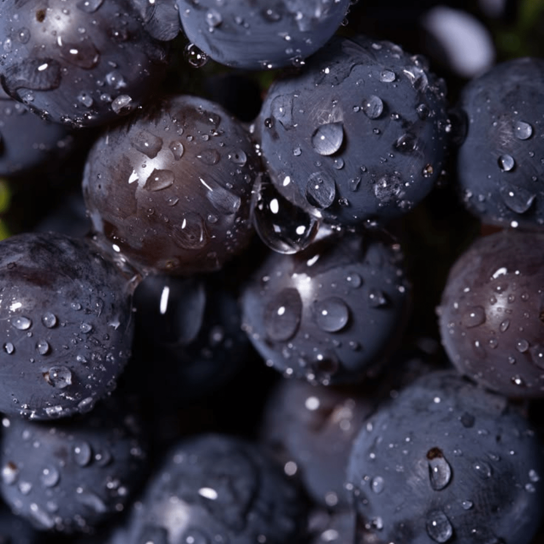 Exploring the Benefits of Rosehip, Acai Berry Extracts, and Glutathione Antioxidants - HER®